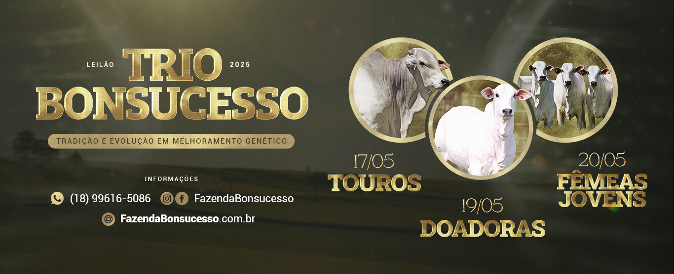 Trio Bonsucesso 2024